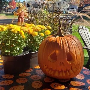 Meet your Posher, Sue